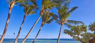 TRQ_24_005%20-%20Beach-Grande%20vignette.jpg