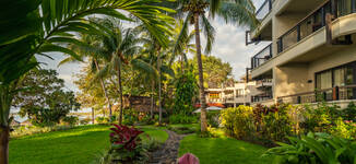 Casuarina__ALX5055-Grande.jpg