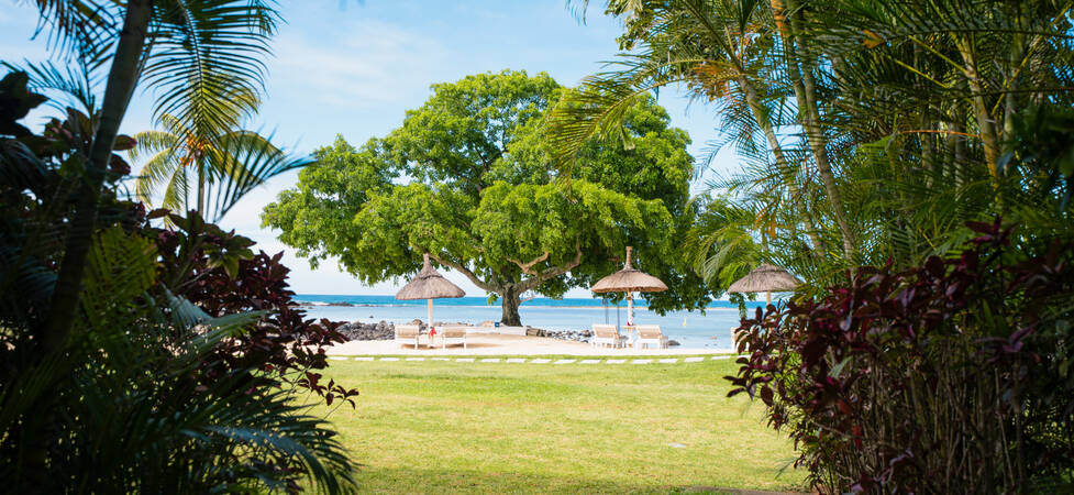 https://img.hotelissima.com/medias/48619-x1920/_.jpg
